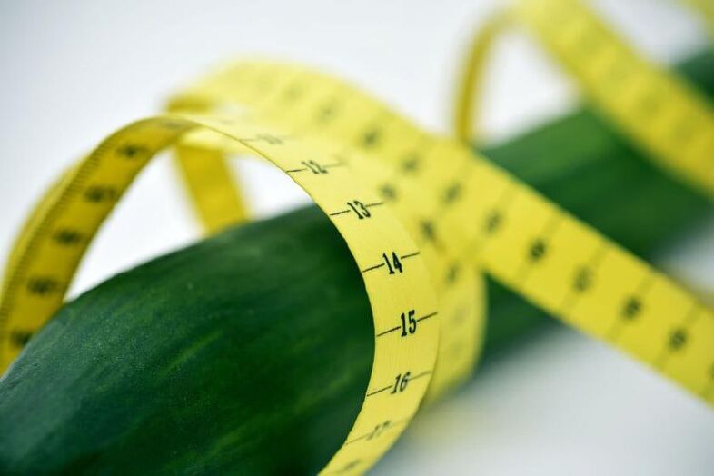 以黄瓜为例的阴茎测量