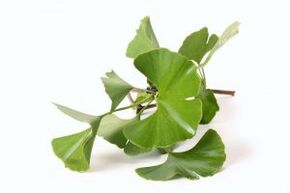 银杏叶用于阴茎增大
